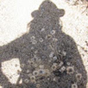 Meet your Posher, Kaedence